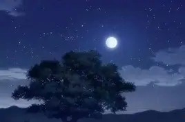 战争与和平启示